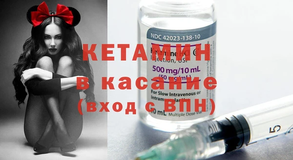 прущие грибы Аркадак
