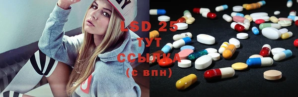 прущие грибы Аркадак