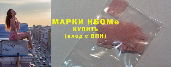 прущие грибы Аркадак