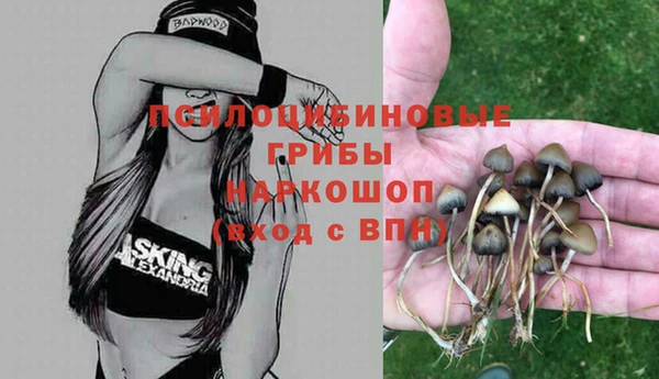 спиды Армянск