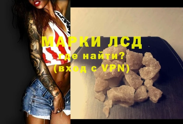 прущие грибы Аркадак